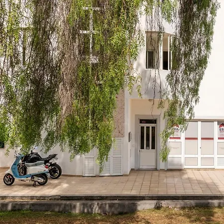 Barreiros Iii By An Island *